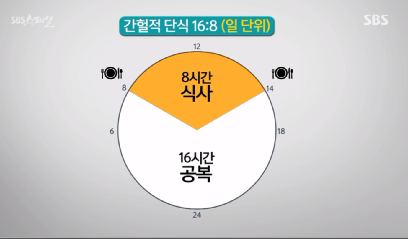 간헐적 단식 16:8