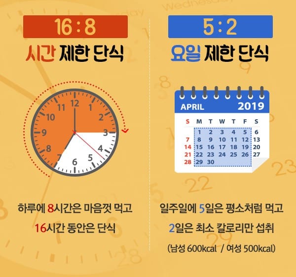 시간 제한 단식과 요일 제한 단식