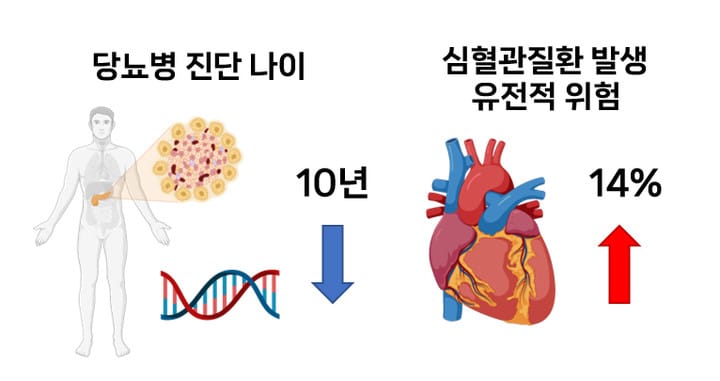 당뇨병과 생활습관-혈당 관리 꿀팁 8가지🍯 | 언스윗